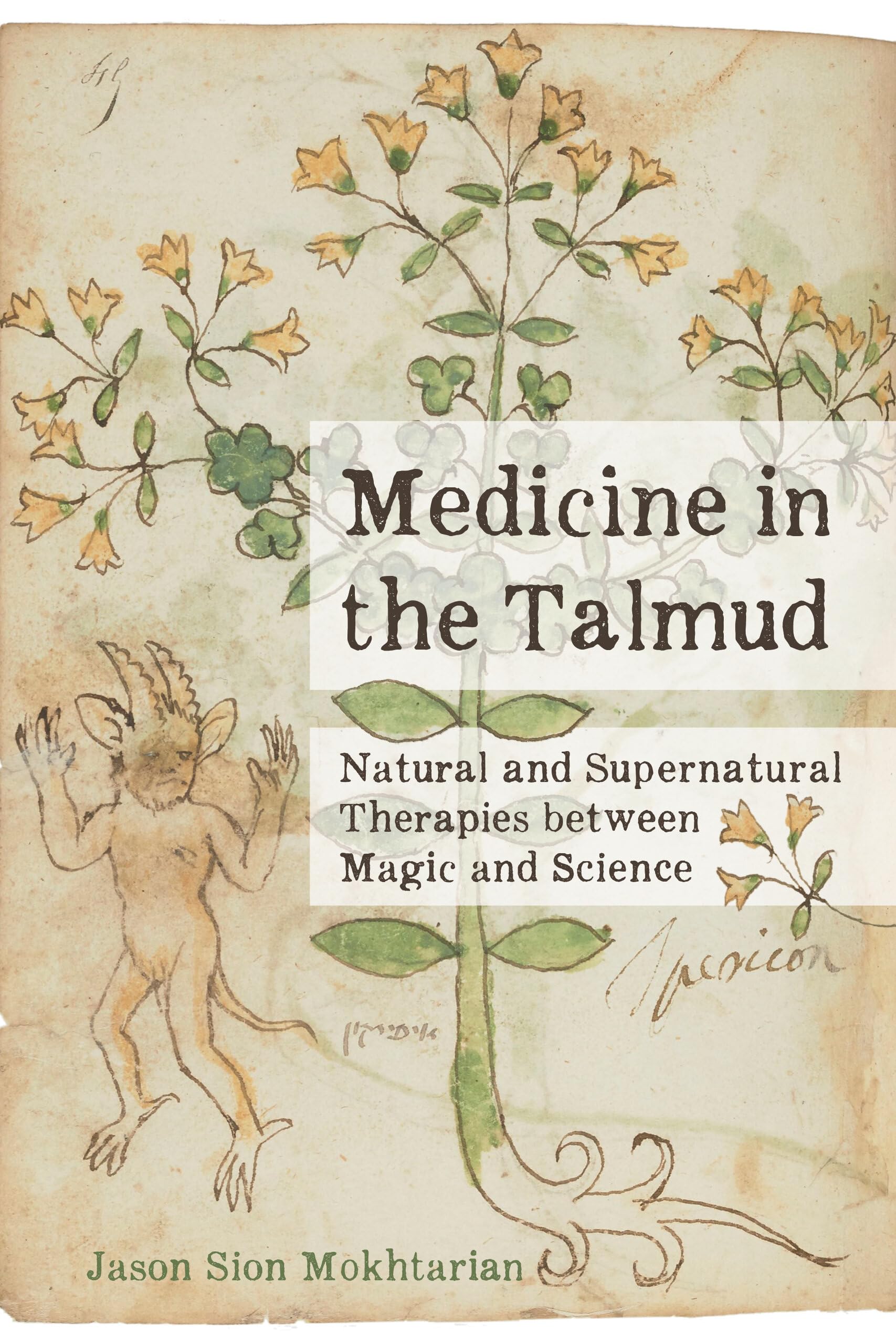 Medicine in the Talmud: Natural and Supernatural Therapies between Magic and Science Medicine