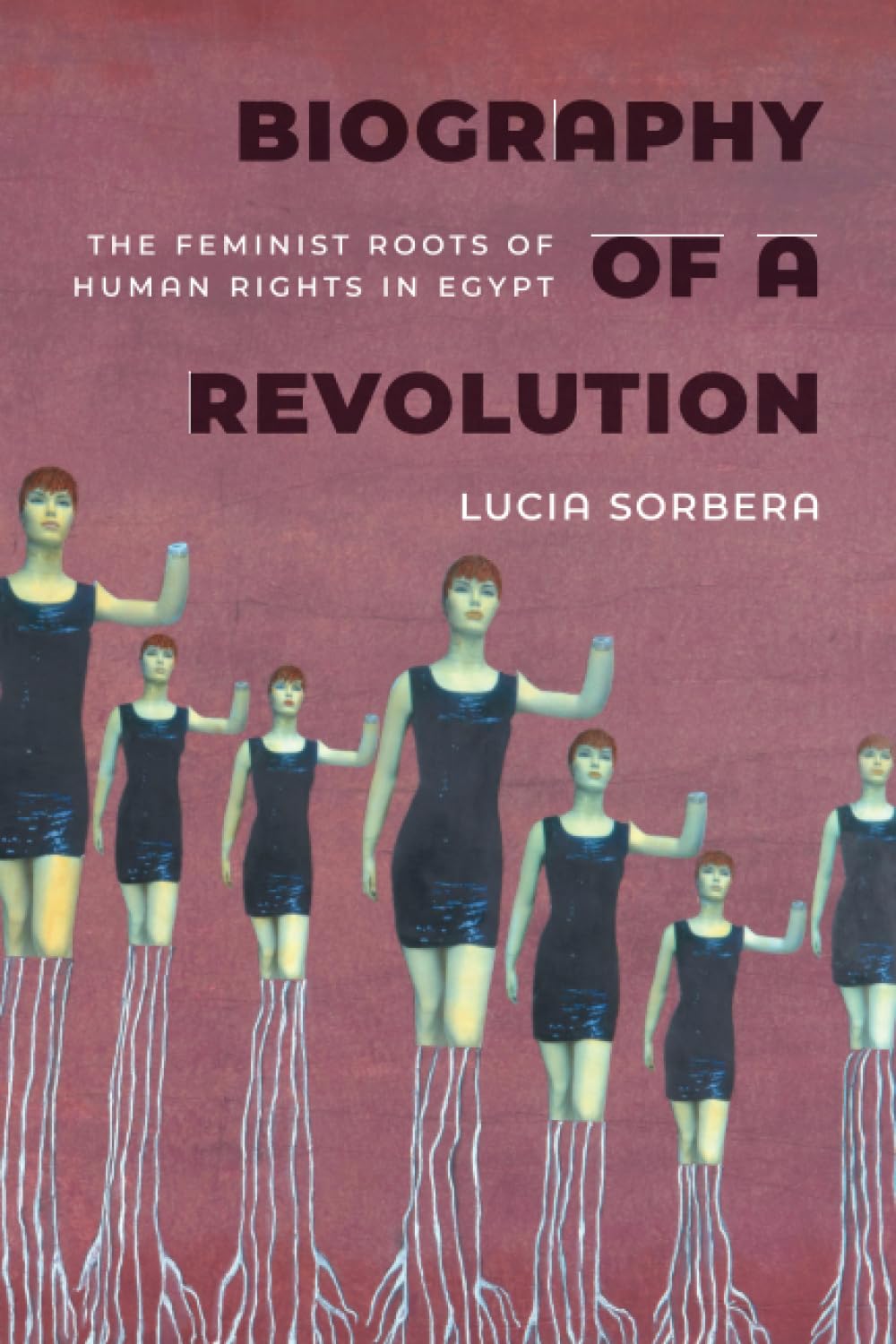 Biography of a Revolution: The Feminist Roots of Human Rights in Egypt Books