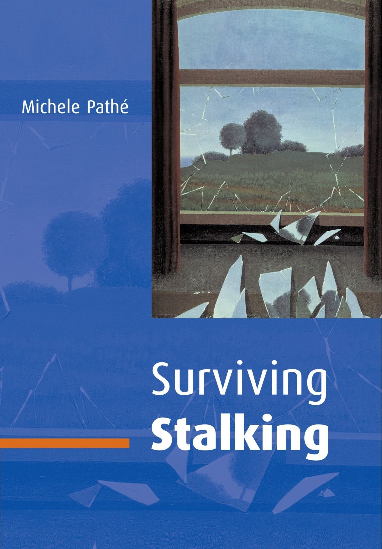 Surviving Stalking Medicine Books