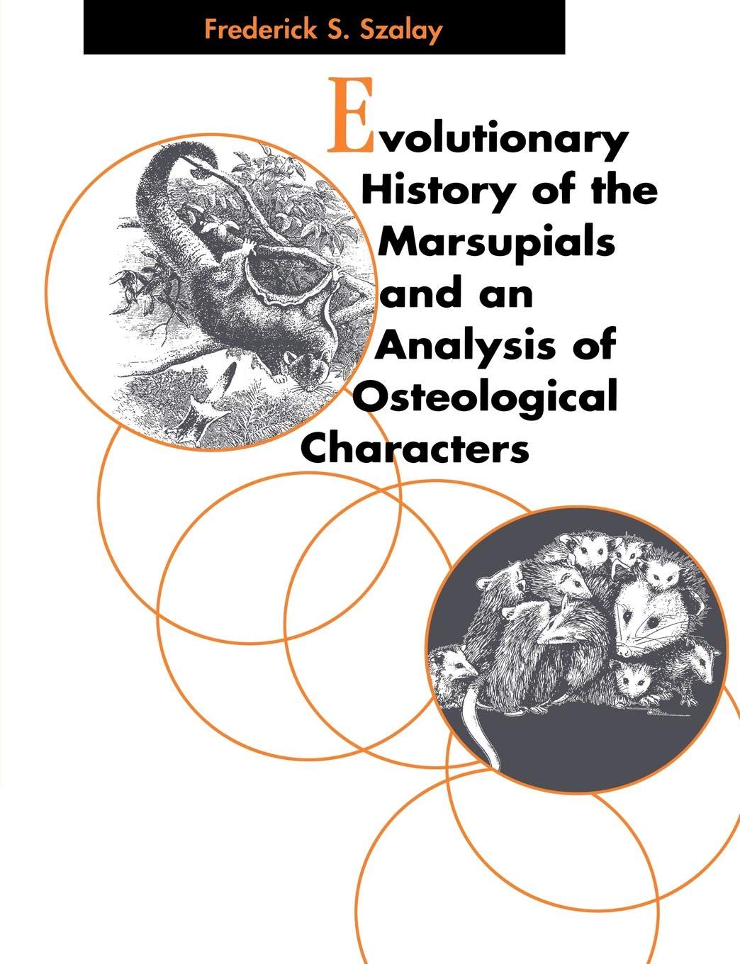 Evolutionary History of the Marsupials and an Analysis of Osteological Characters Business & Technology