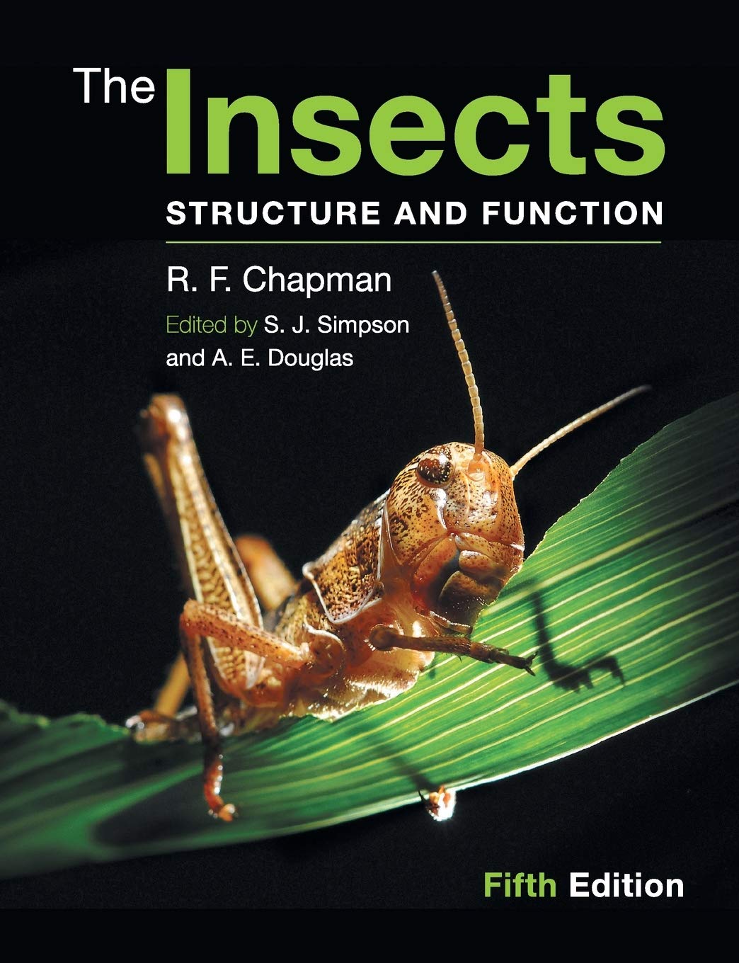 The Insects Business & Technology