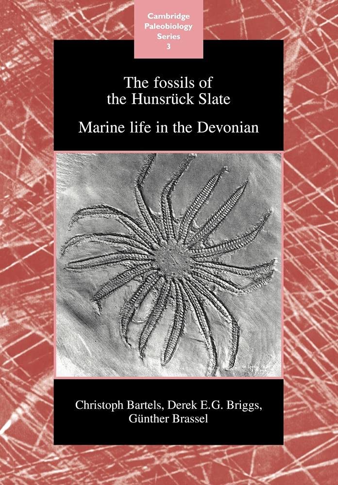 The Fossils of the Hunsruck Slate Business & Technology