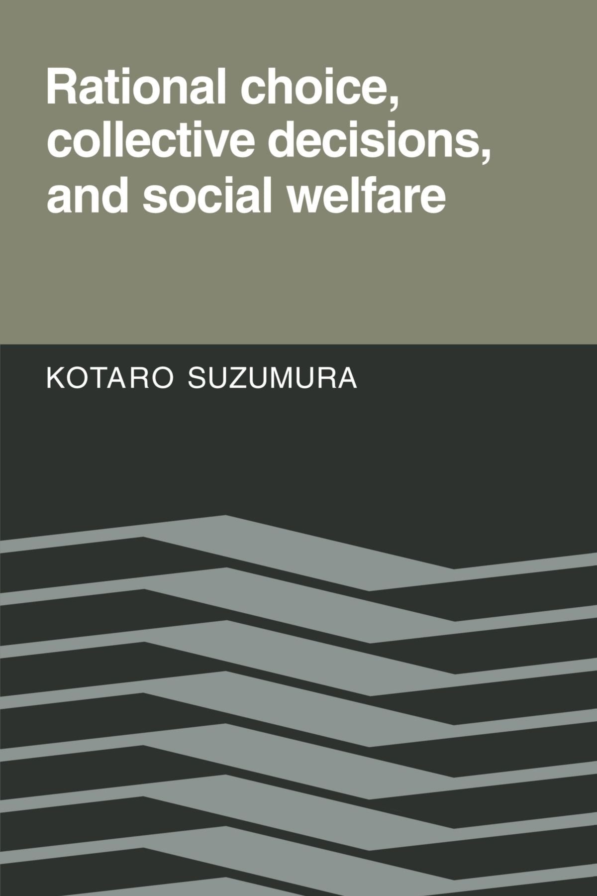 Rational Choice, Collective Decisions, and Social Welfare Books