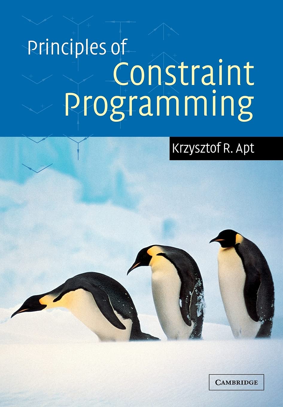 Principles of Constraint Programming Computer Science Books
