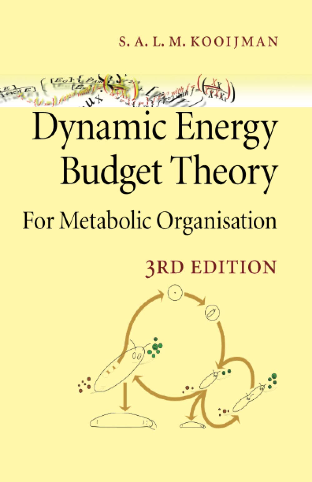 Dynamic Energy Budget Theory for Metabolic Organisation Mathematics