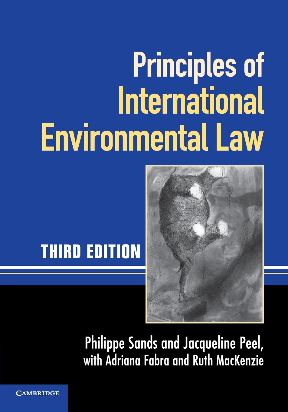 Principles of International Environmental Law Law