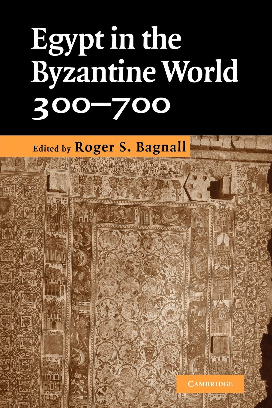 Egypt in the Byzantine World, 300-700 Social Sciences