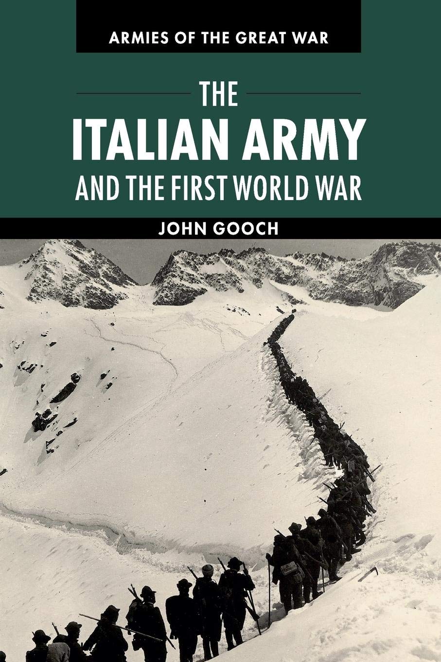 The Italian Army and the First World War book