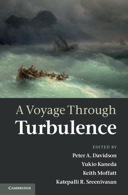 A Voyage Through Turbulence Business & Technology