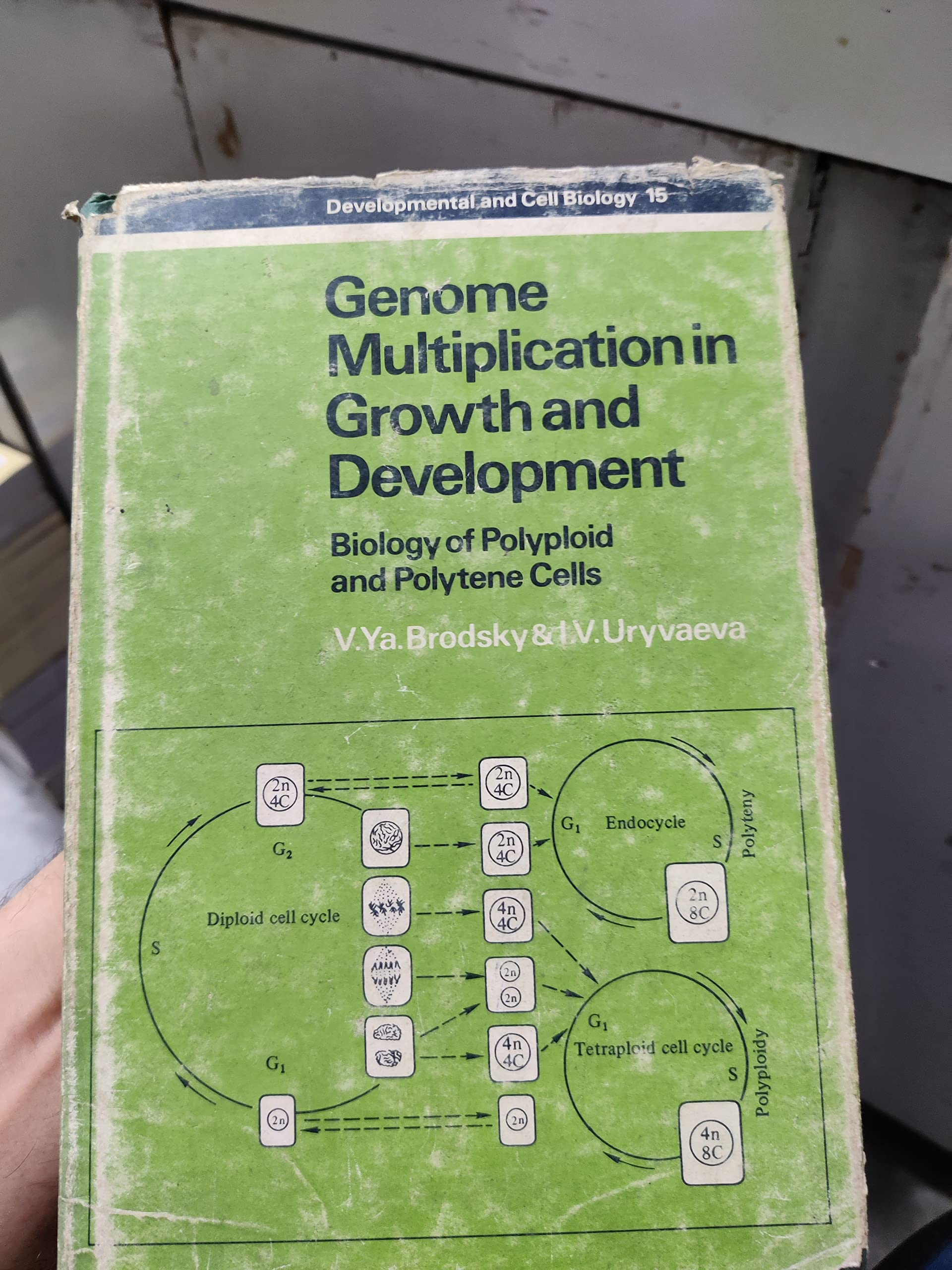 Genome Multiplication in Growth and Development: Biology of Polyploid and Polytene Cells (Developmental & Cell Biology Series) Business & Technology