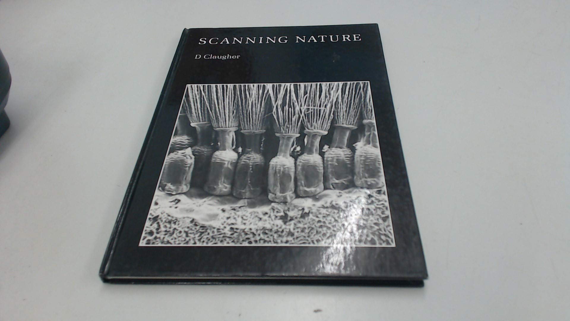 Scanning Nature: A Look at Some of the Smaller Components of Our Natural Environment As Revealed by the Scanning Electron Microscope Natural Sciences