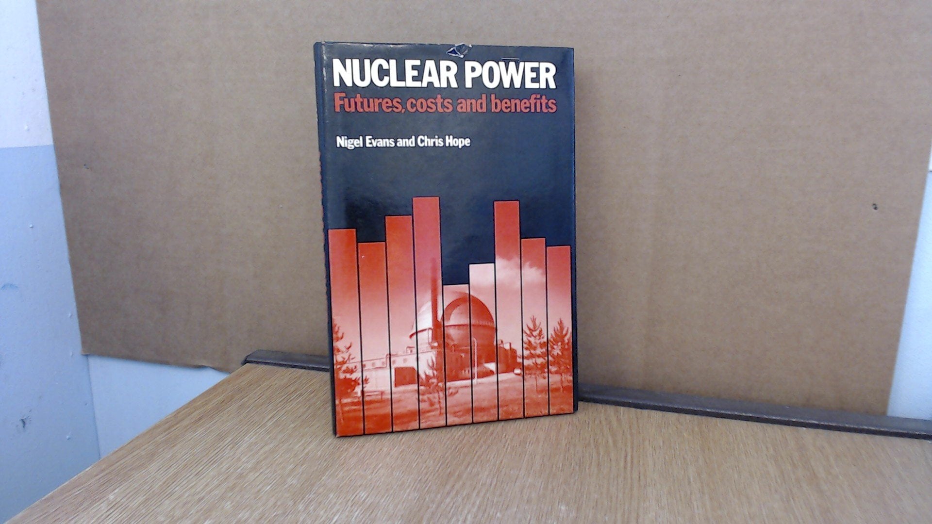 Nuclear Power: Futures, Costs and Benefits (Cambridge University Energy Research Group) Social Sciences