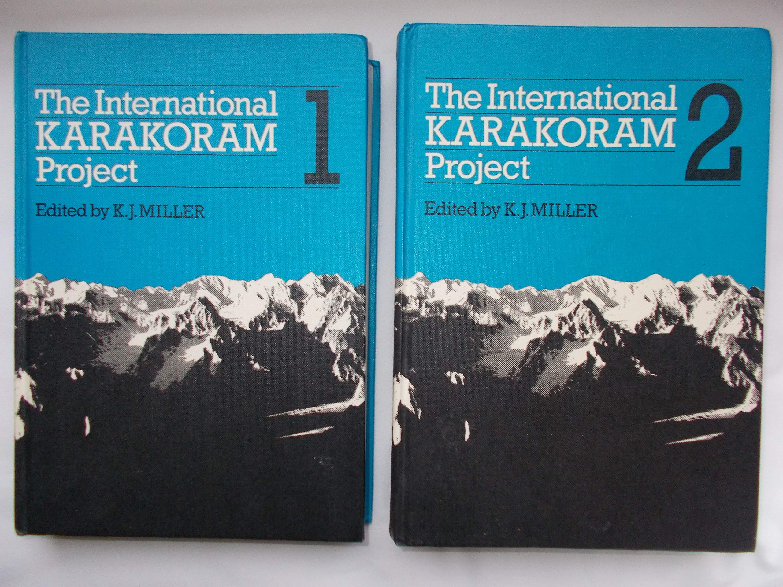 The International Karakoram Project: Volume 1 Business & Technology