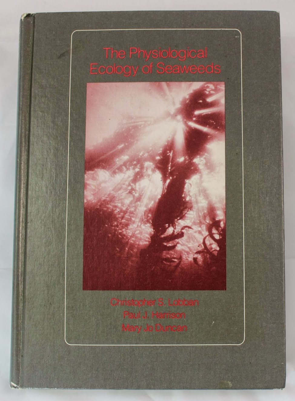 The Physiological Ecology of Seaweeds Business & Technology