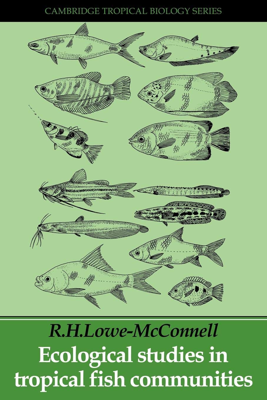 Ecological Studies Trop Fish C Mathematics Books