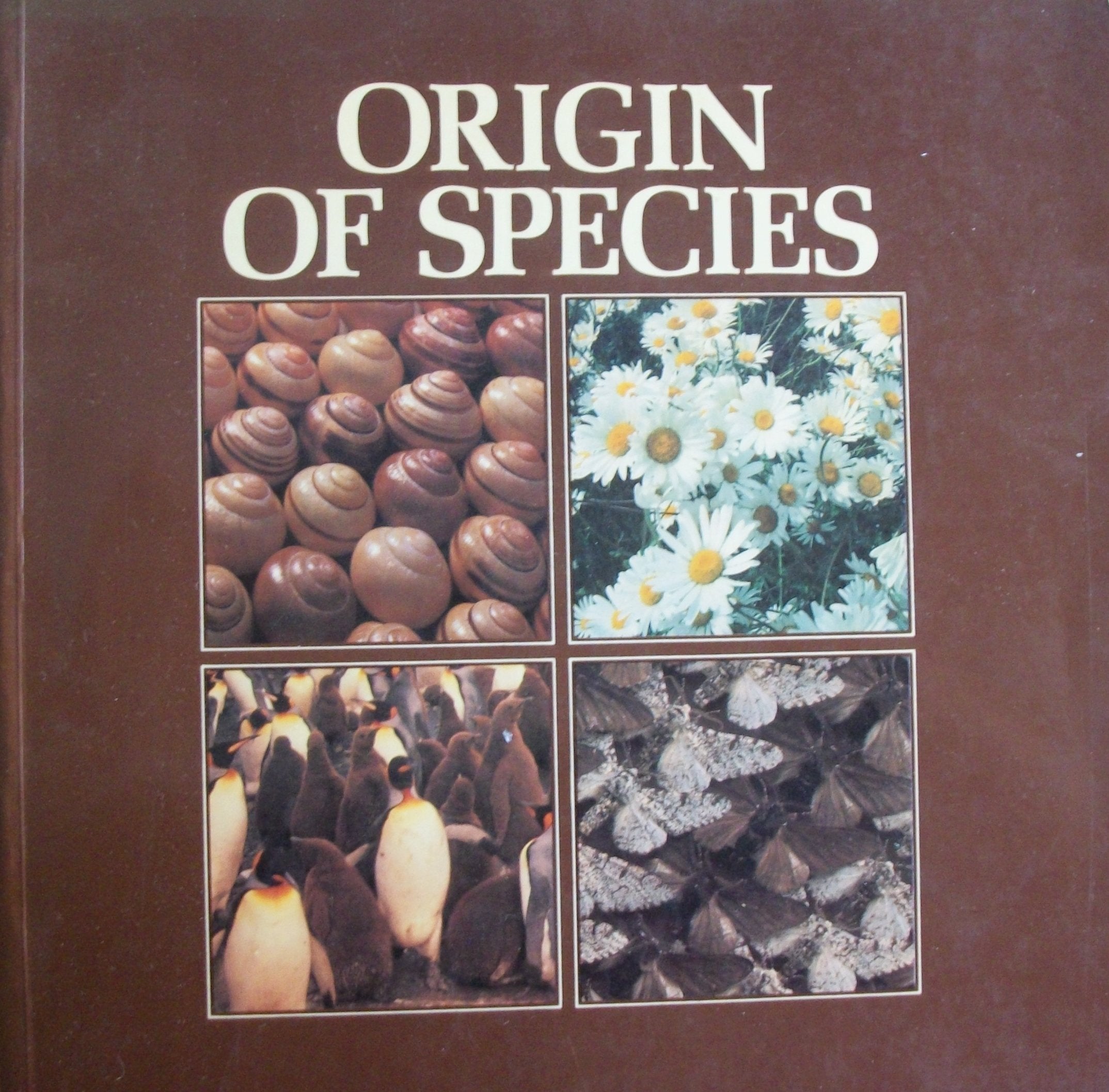Origin of Species: British Museum of Natural History Natural Sciences