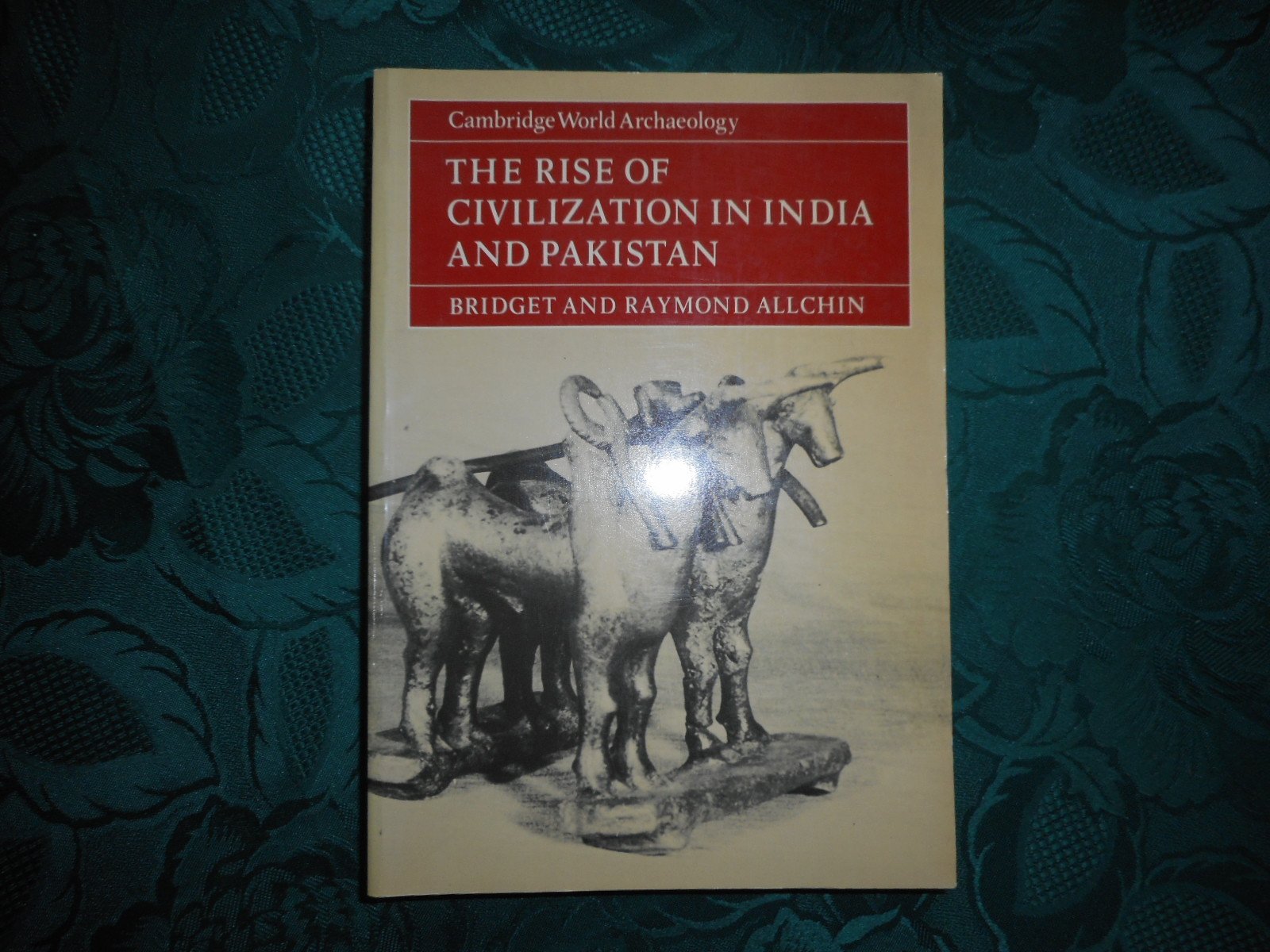 Rise of Civilisation in India & Pak book