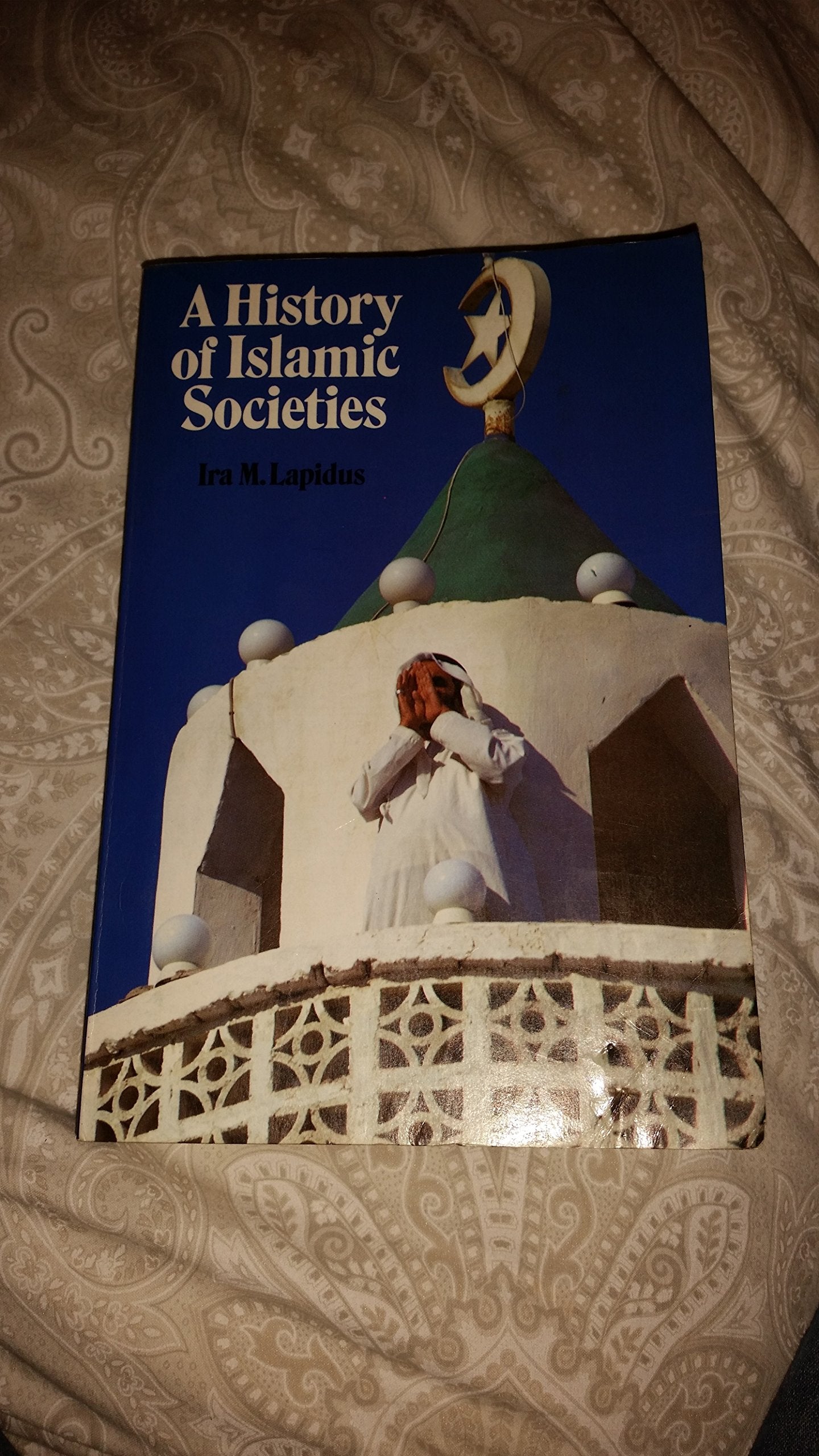 A History of Islamic Societies book