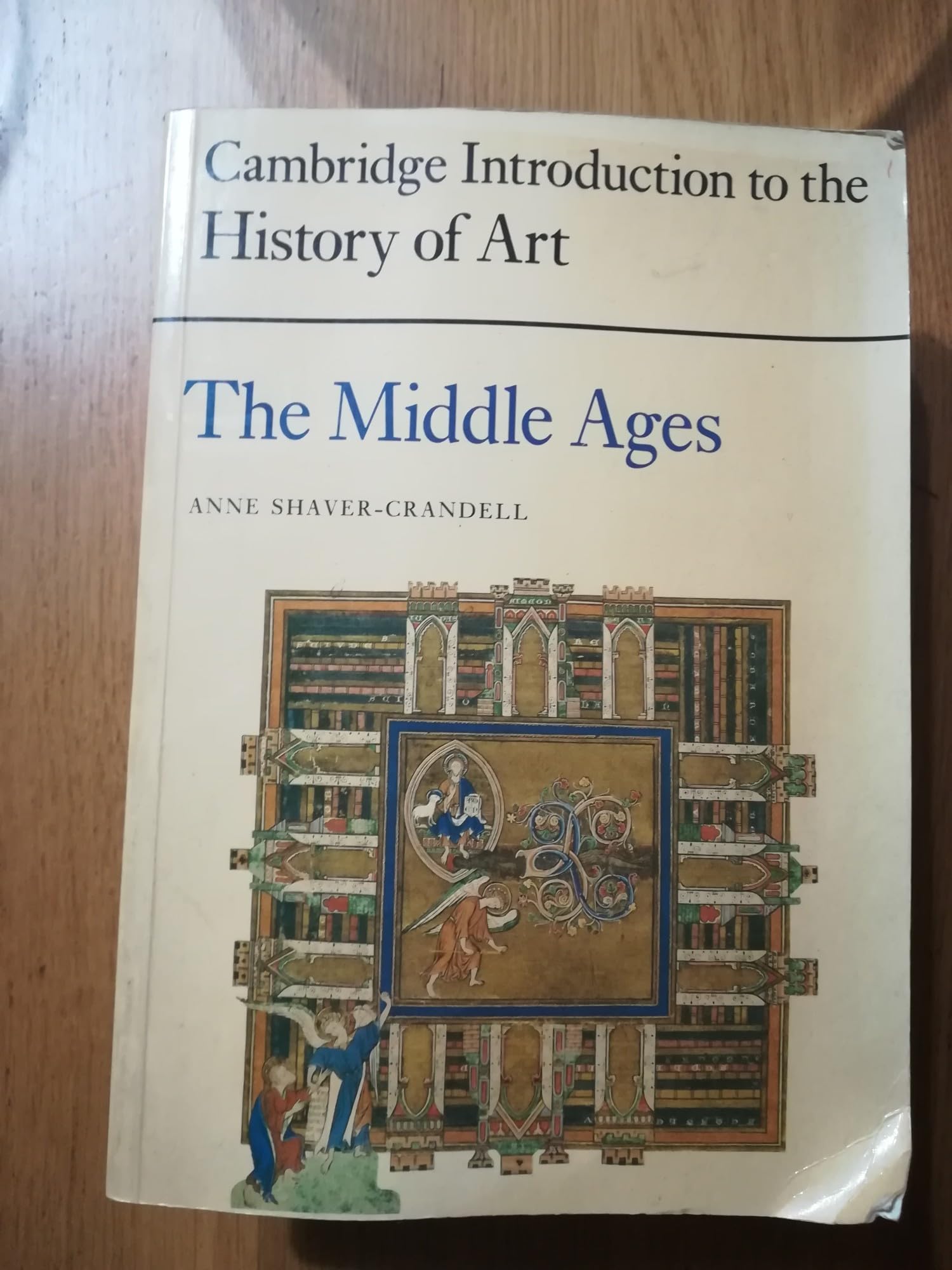The Middle Ages (Cambridge Introduction to Art) Film, Art & Culture
