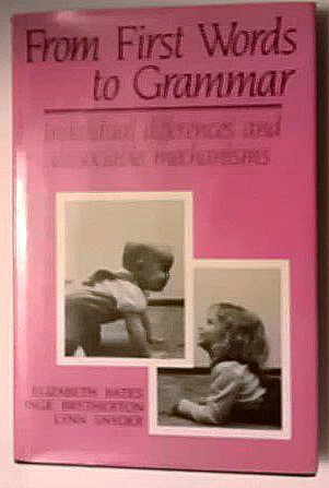 From First Words to Grammar: Individual Differences and Dissociable Mechanisms book