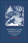 Working-Class Americanism: Politics of Labor in a Textile City, 1914-1960: The Politics of Labor in a Textile City, 1914–1960 (Interdisciplinary Perspectives on Modern History) Politics & History