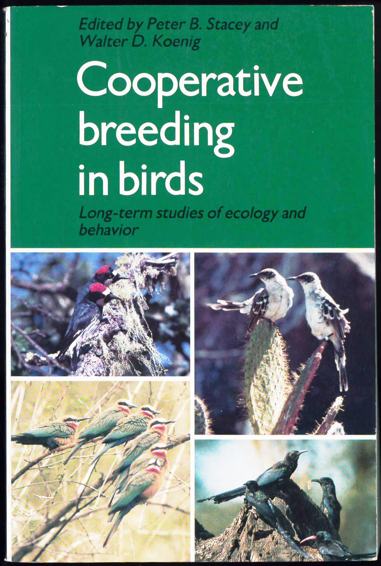 Cooperative Breeding in Birds: Long Term Studies of Ecology and Behaviour Leisure, Home & Garden