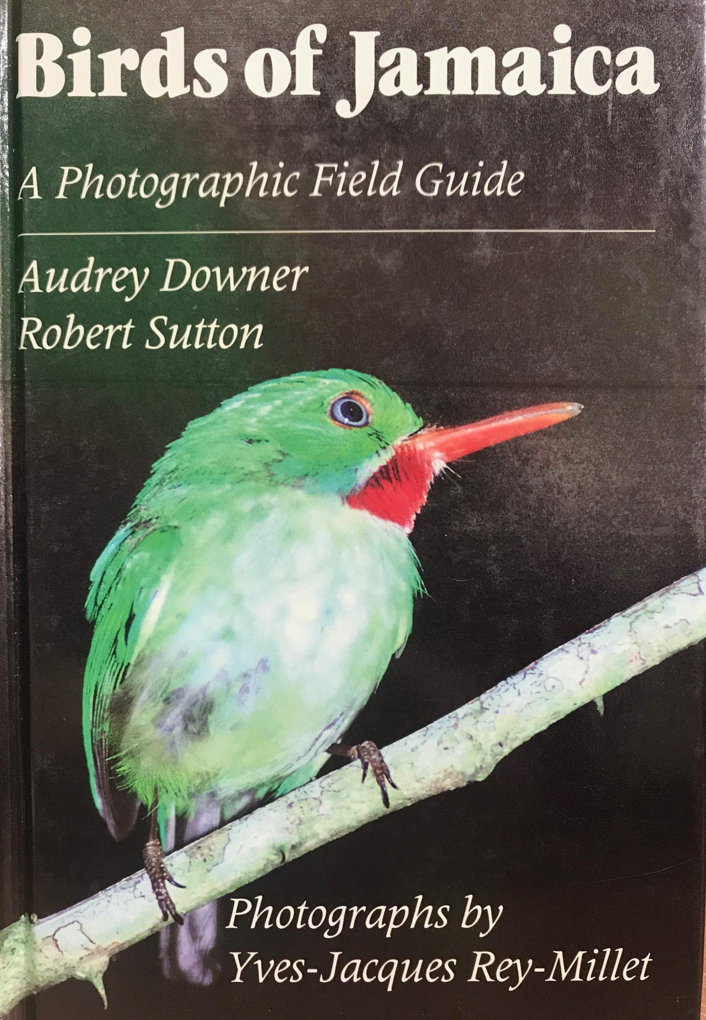 Birds of Jamaica: A Photographic Field Guide book