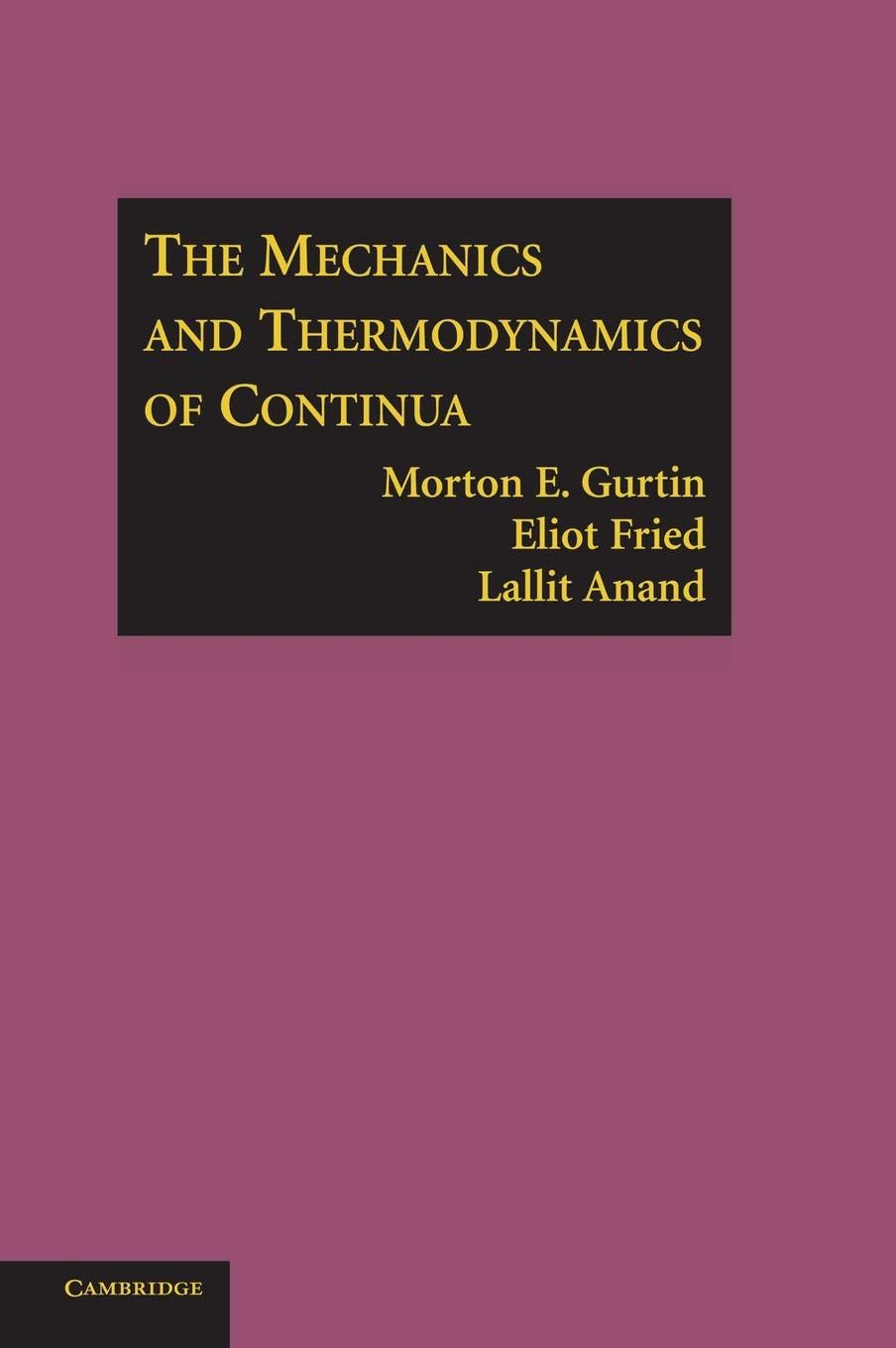 The Mechanics and Thermodynamics of Continua Business & Technology