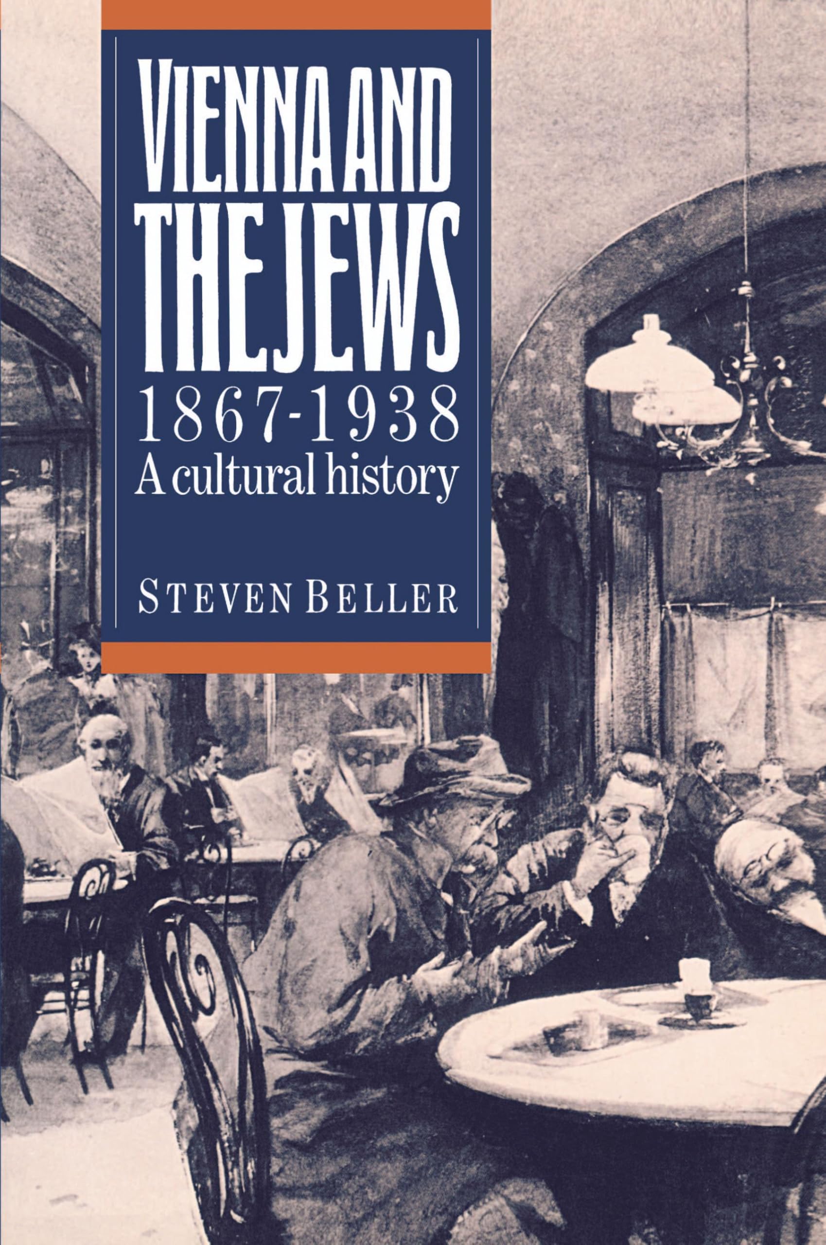Vienna and the Jews 1867-1938: A Cultural History Politics & History