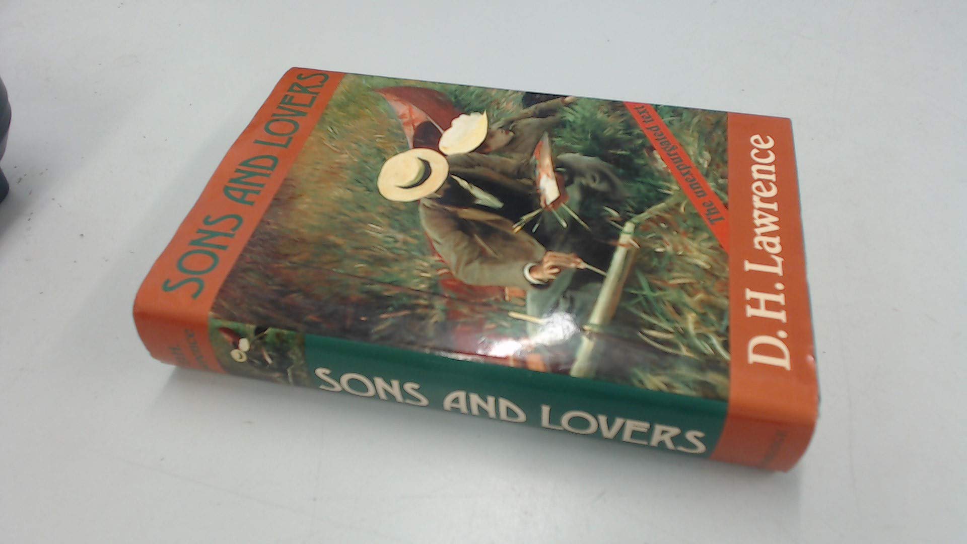 D. H. Lawrence: Sons and Lovers Trade edition book