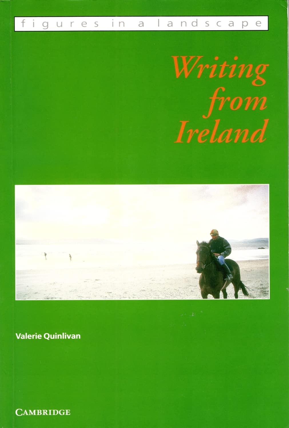 Writing from Ireland (Figures in a Landscape) Fiction