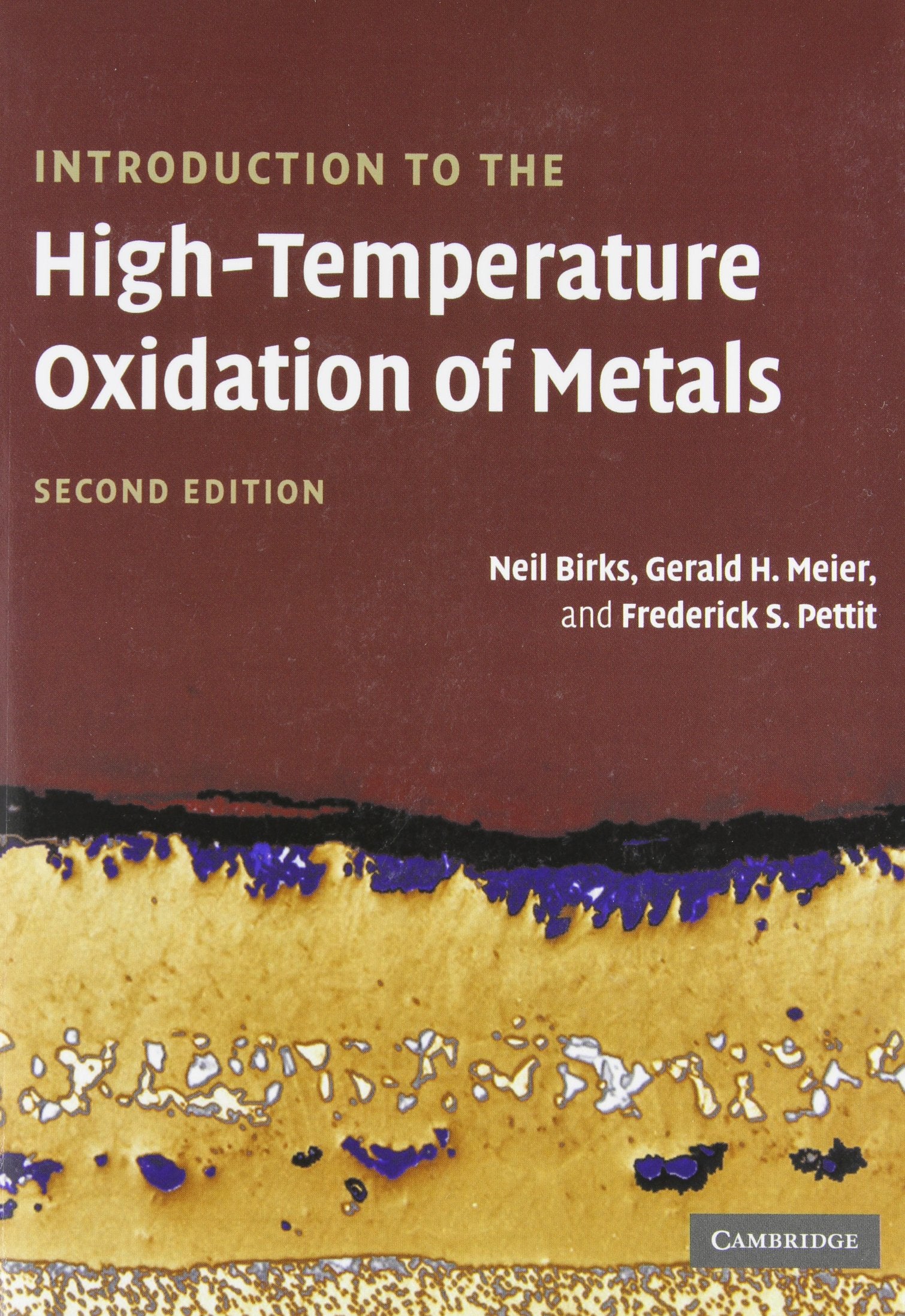 Introduction to the High Temperature Oxidation of Metals Business & Technology