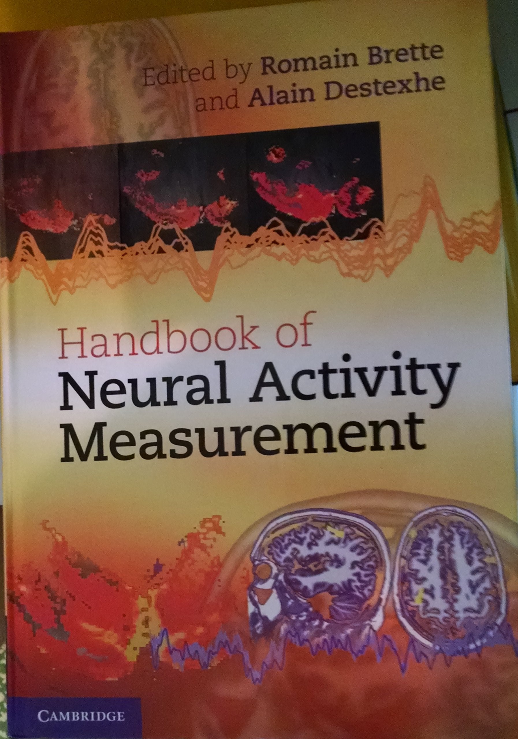 Handbook of Neural Activity Measurement Medicine