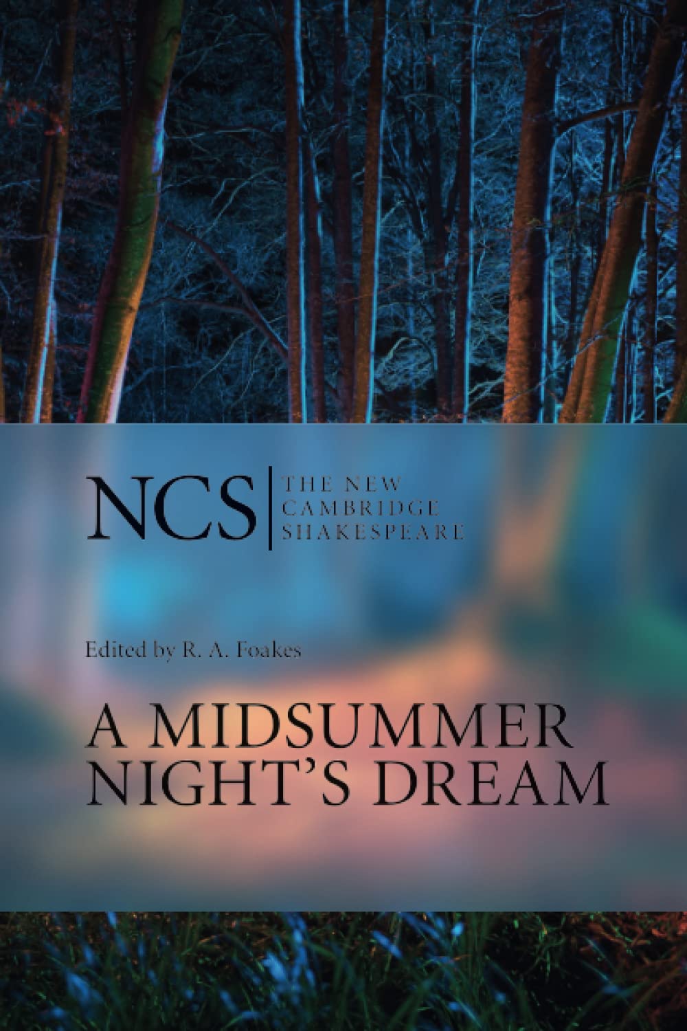 NCS Contemporary literature Books