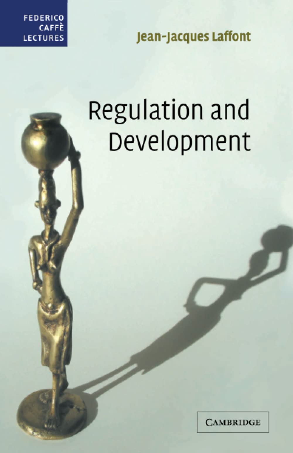 Regulation and Development Law