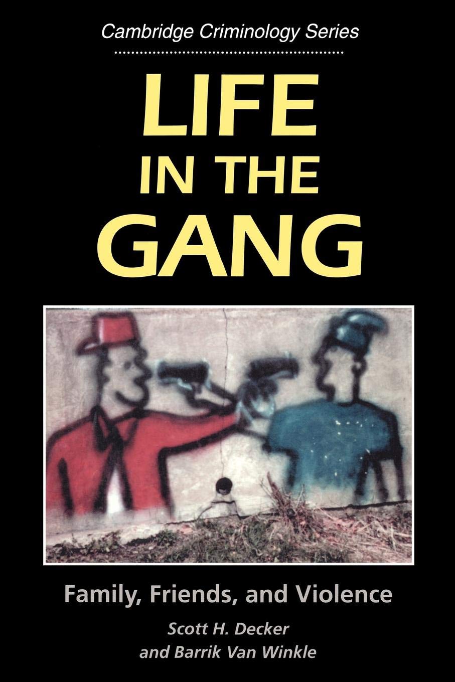 Life in the Gang: Family, Friends, and Violence (Cambridge Criminology Series) Law