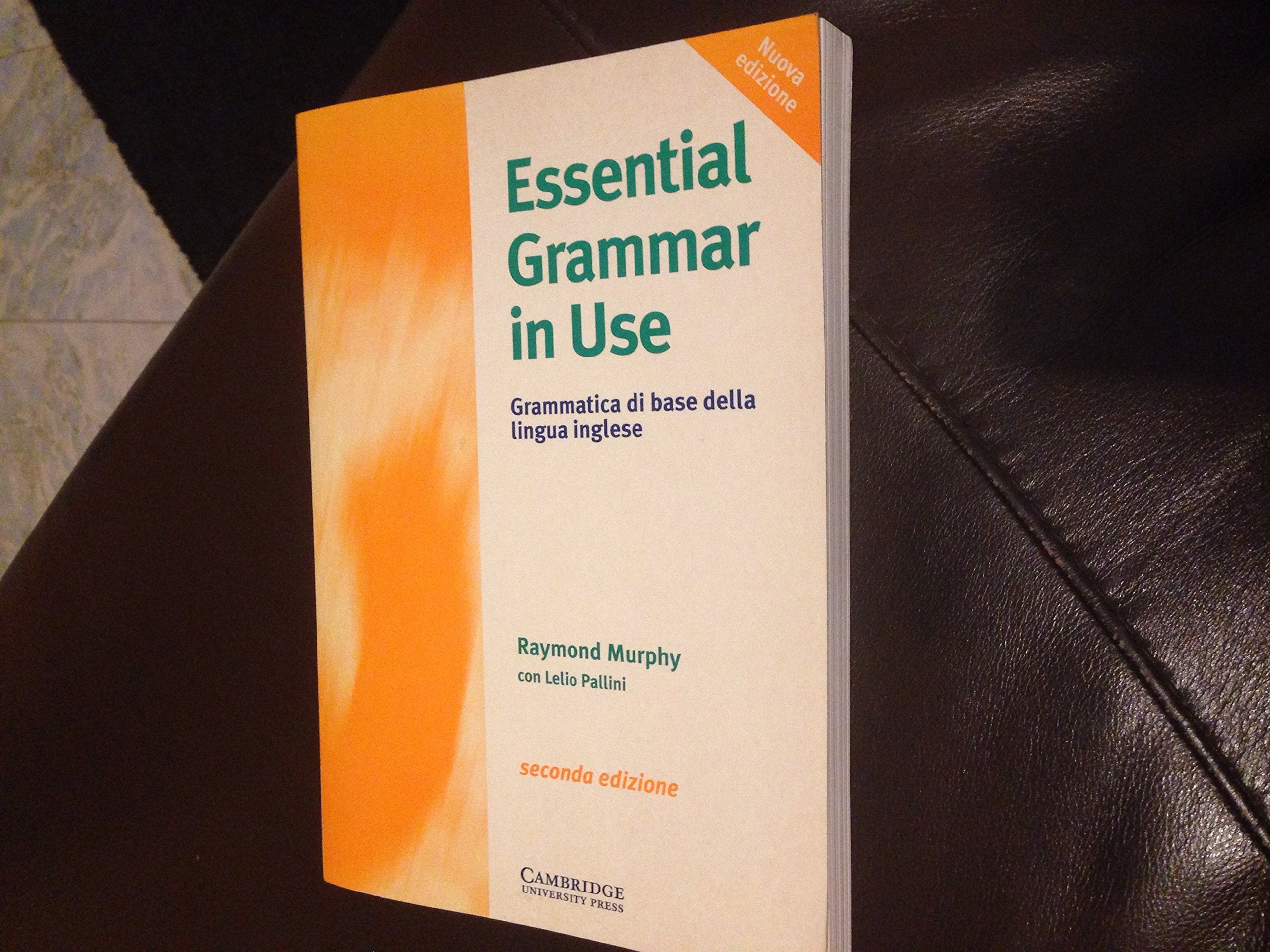 Essential Grammar in Use Italian edition: A Reference and Practice Book for Elementary Students of English Foreign Languages ​​& Dictionaries