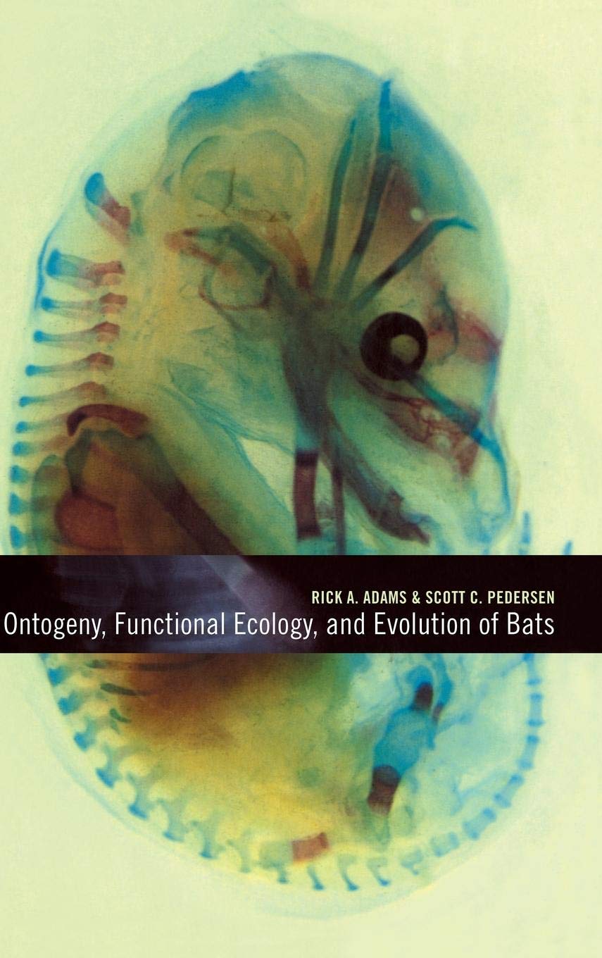 Ontogeny, Functional Ecology, and Evolution of Bats Mathematics