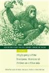 Hominoid Evolution and Climatic Change in Europe: Volume 2: Phylogeny of the Neogene Hominoid Primates of Eurasia book
