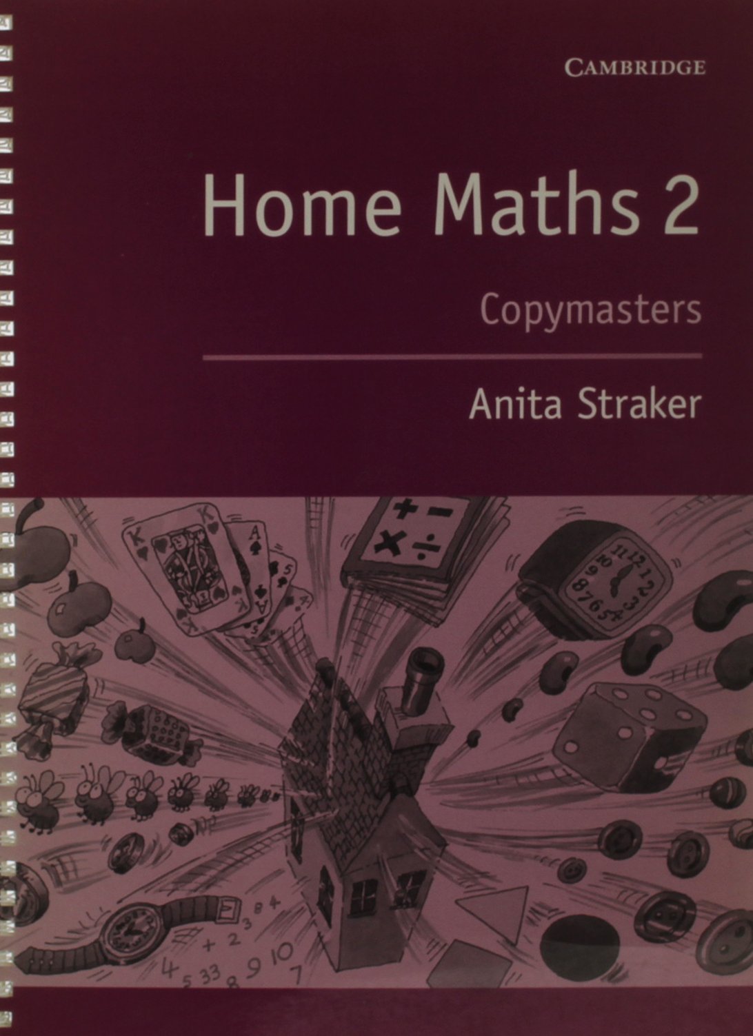 Home Maths Pupil's Book 2: Photocopiable Masters Non-fiction