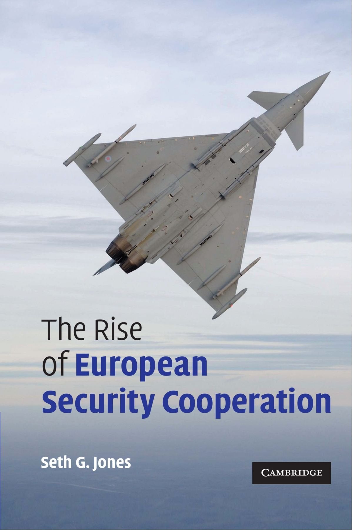 The Rise of European Security Cooperation Reference Books