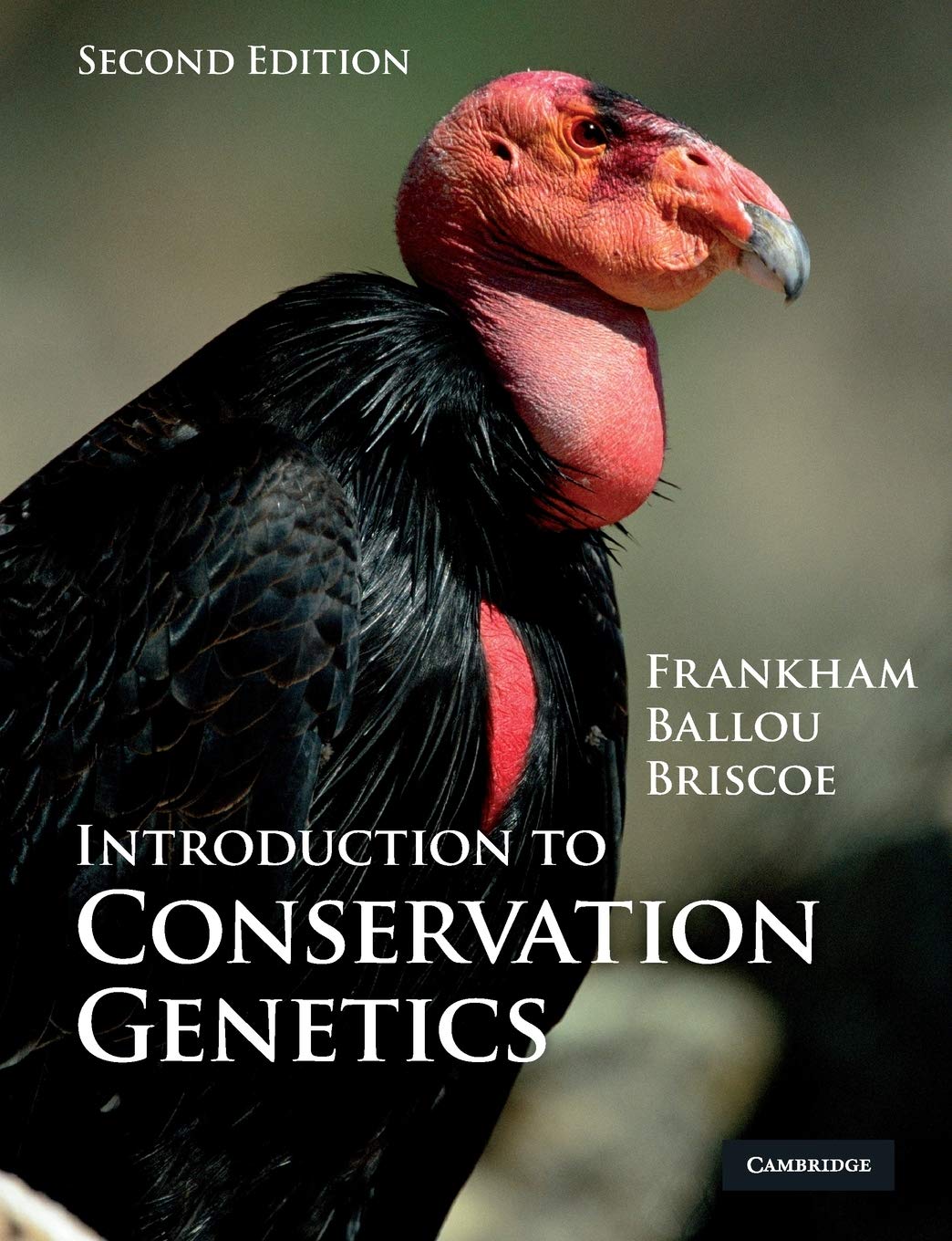 Product Image: Introduction to Conservation Genetics