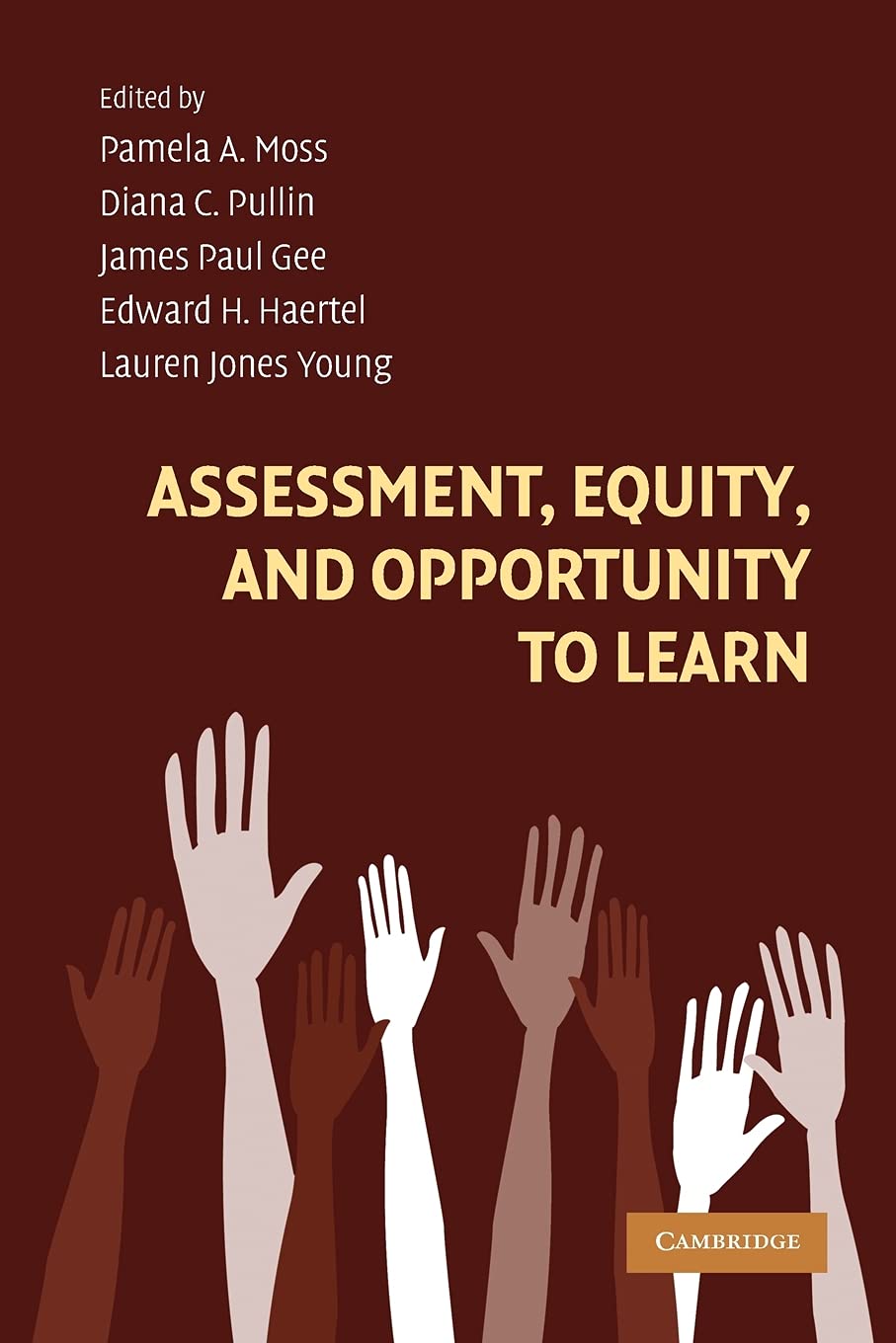 Assessment, Equity, and Opportunity to Learn (Learning in Doing: Social, Cognitive and Computational Persp) Education & Training