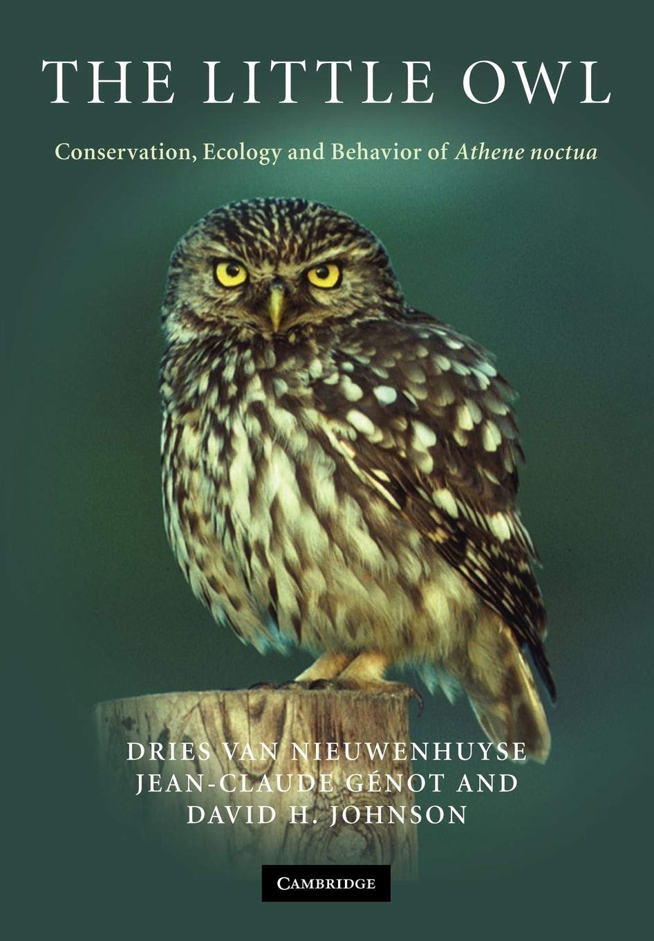 The Little Owl: Conservation, Ecology and Behavior of Athene Noctua Mathematics