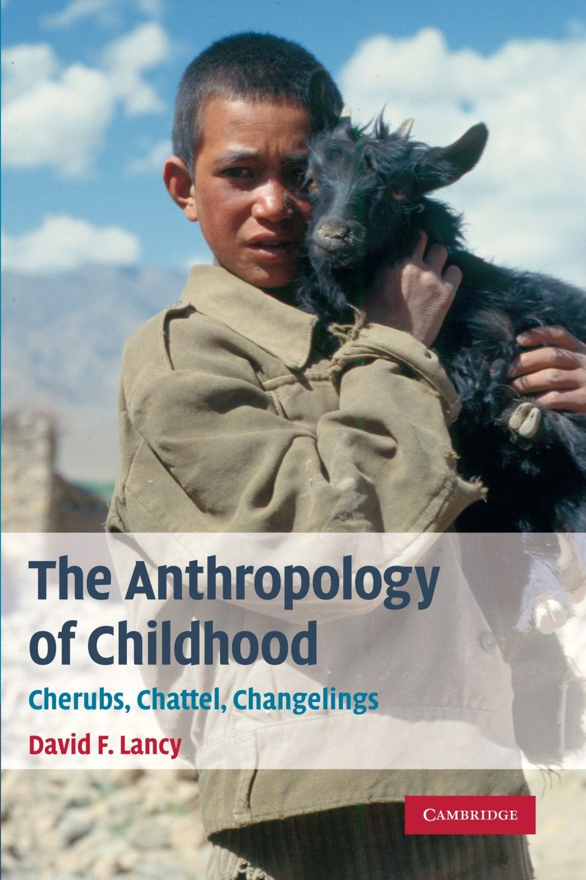 The Anthropology of Childhood: Cherubs, Chattel, Changelings General education