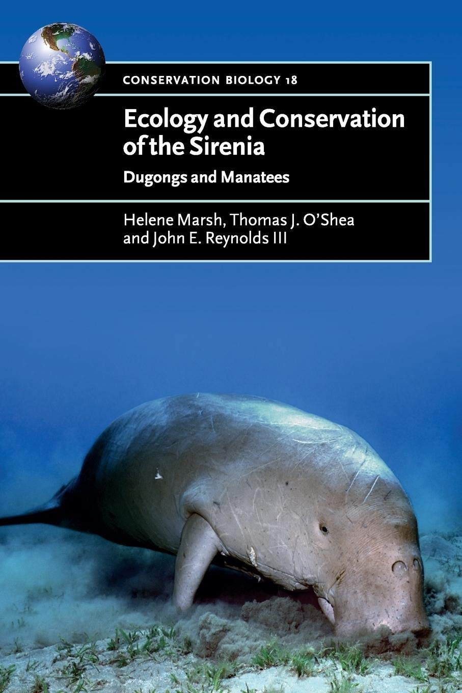 Ecology and Conservation of the Sirenia Mathematics