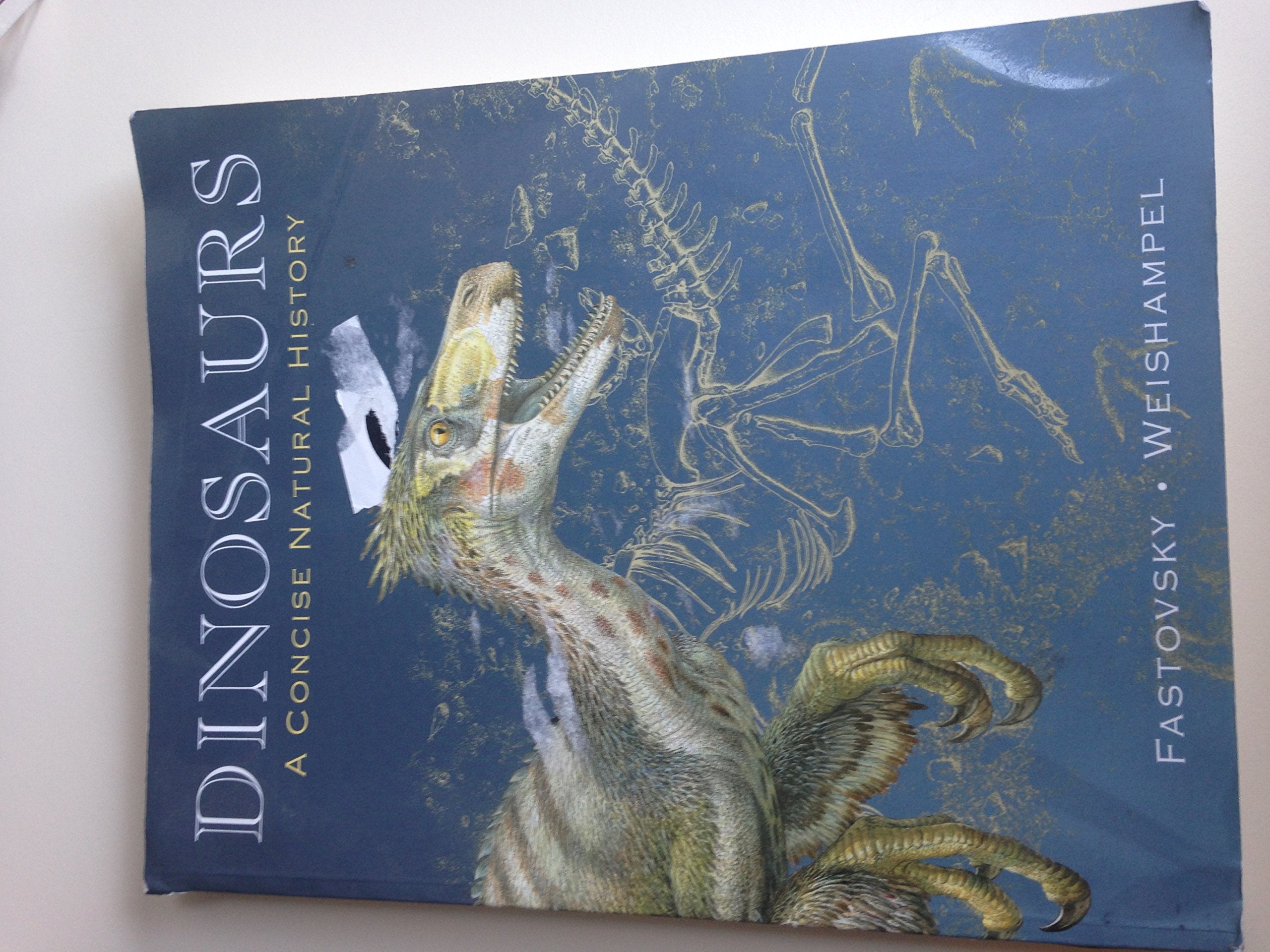 Dinosaurs: A Concise Natural History Natural Sciences