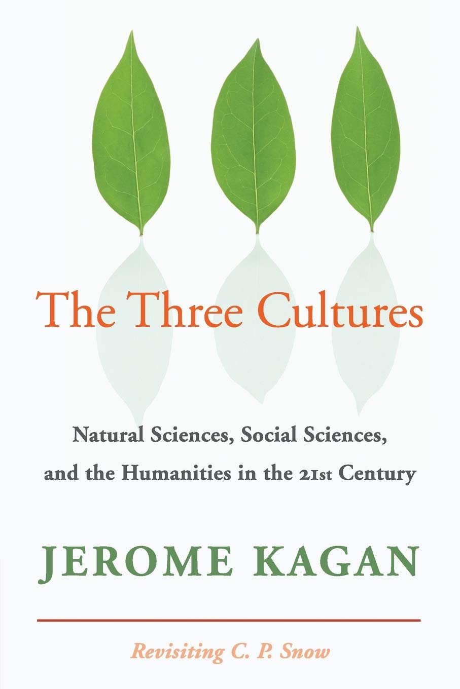 The Three Cultures: Natural Sciences, Social Sciences, And The Humanities In The 21St Century Social Sciences