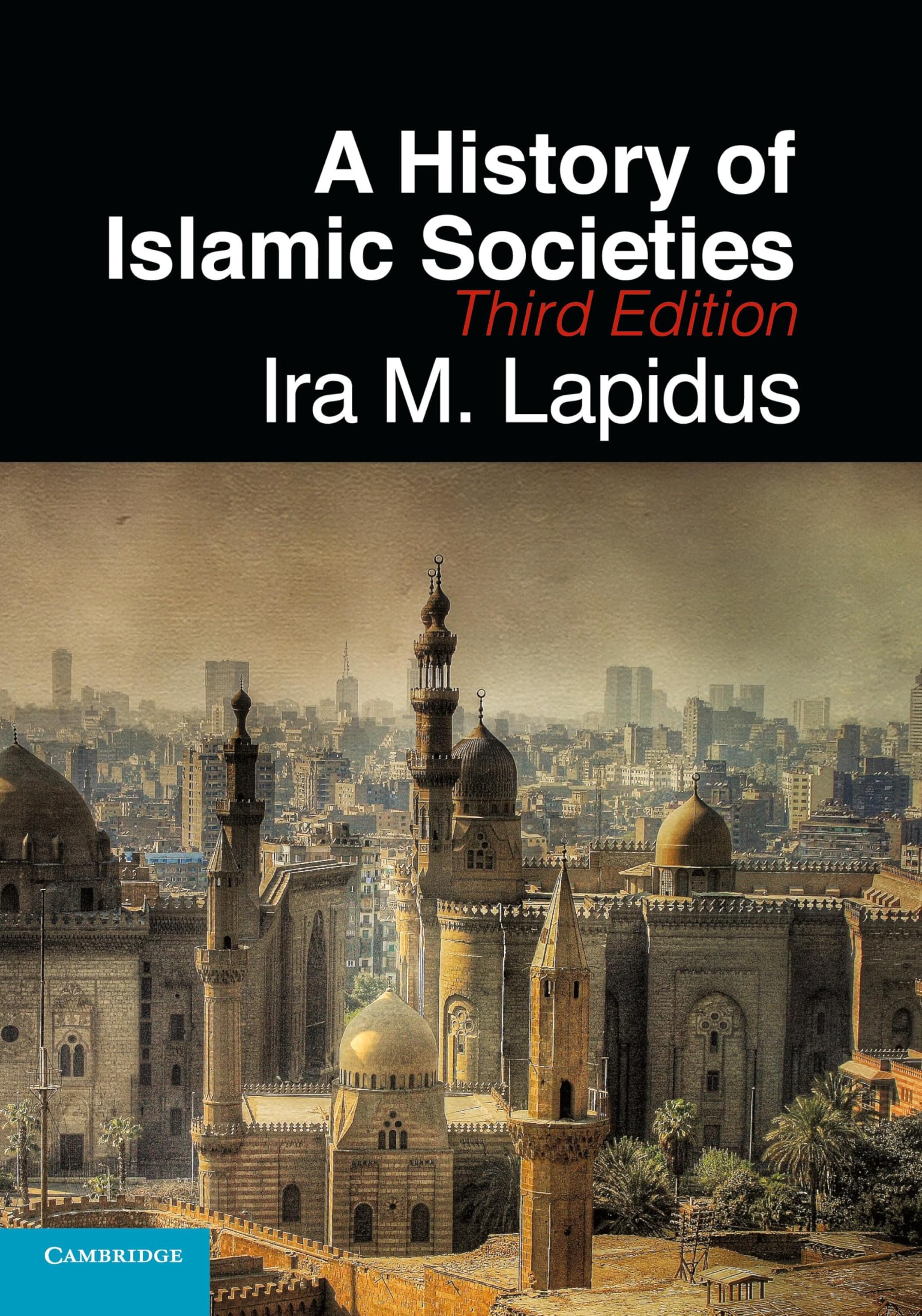 A History of Islamic Societies Social Sciences