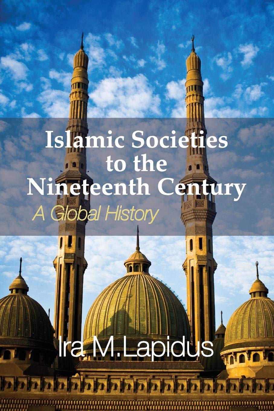 Islamic Societies to the Nineteenth Century: A Global History Politics & History